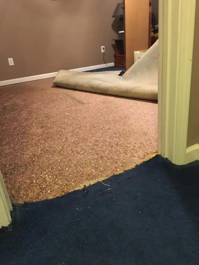 Carpet pad removal revealing water damage during Water Mitigation Services in Middle Smithfield
