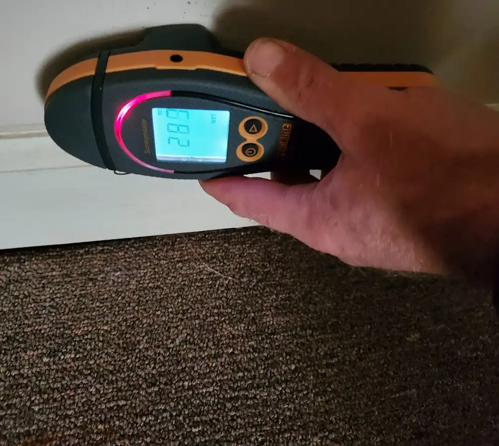 Moisture detection at baseboard during Sewage Cleanup & Sanitation in Middle Smithfield
